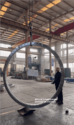 A 2800 mm Outer-diameter Heavy-duty Slewing Bearing