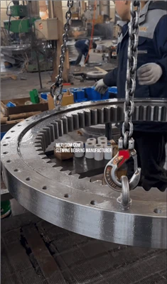 Internal Gear Single-row Raceway Ball Slewing Bearing